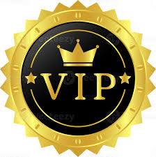 VIP Customer Support